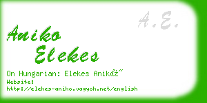 aniko elekes business card